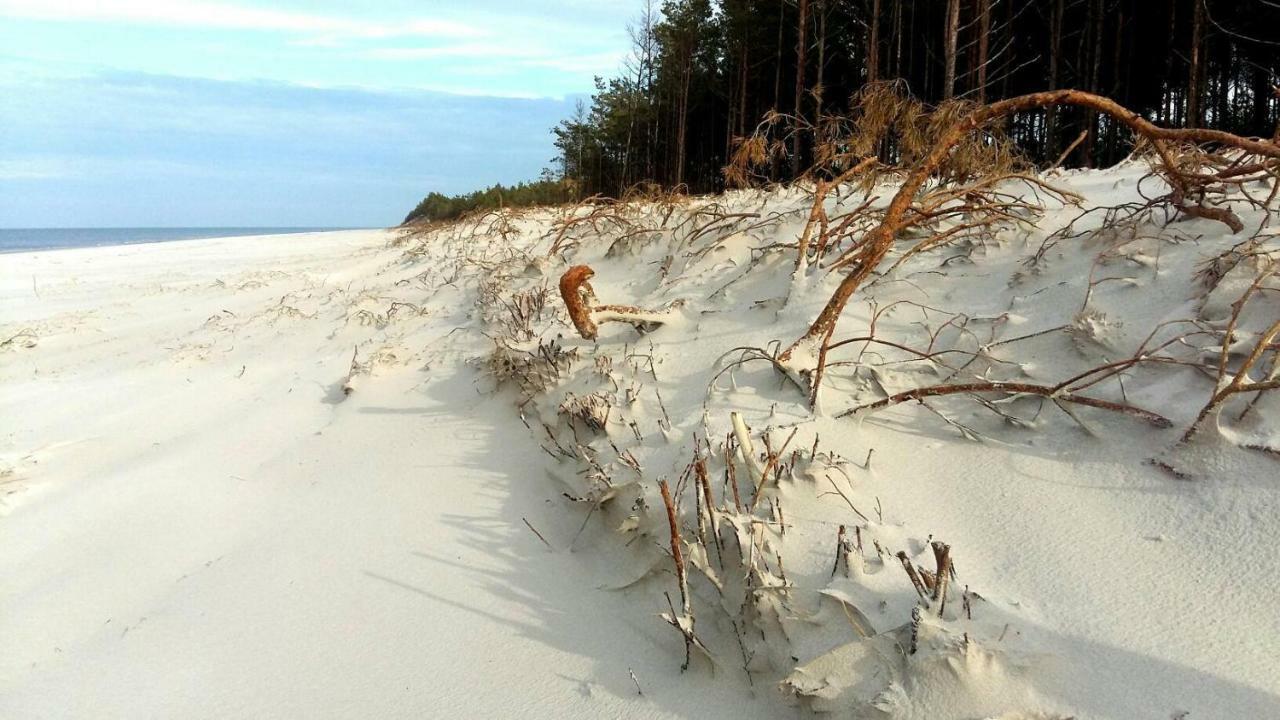 Marina Sasino - Komfortowe Domy Z Sauna I Kominkami Exteriér fotografie